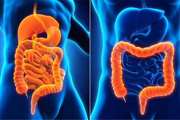 Gastrointestinal-Disorders